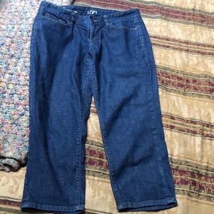 Loft denim Capris